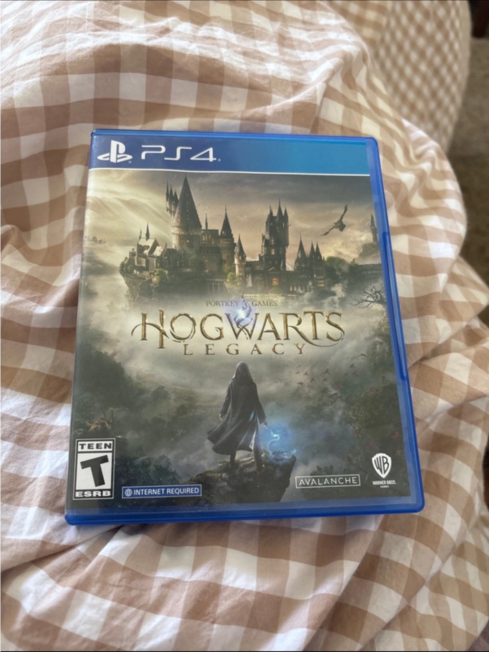 Sony PS4 Hogwarts Legacy - Blue Case